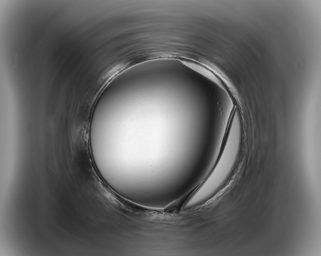 X0000086720809200704271609