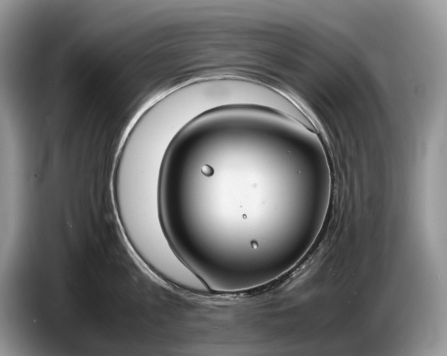 X0000086720813200704271609