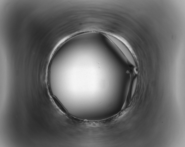 X0000086720815200704271609