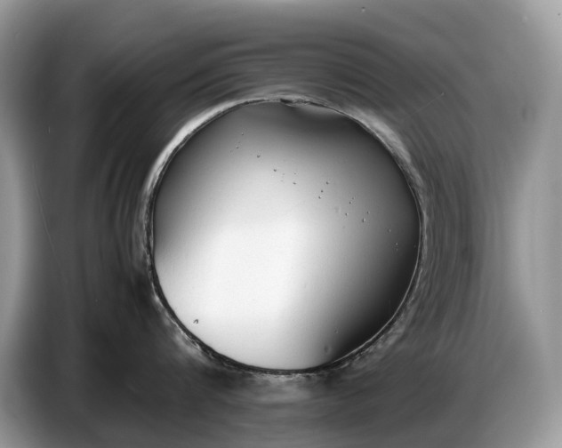 X0000086720816200704271609