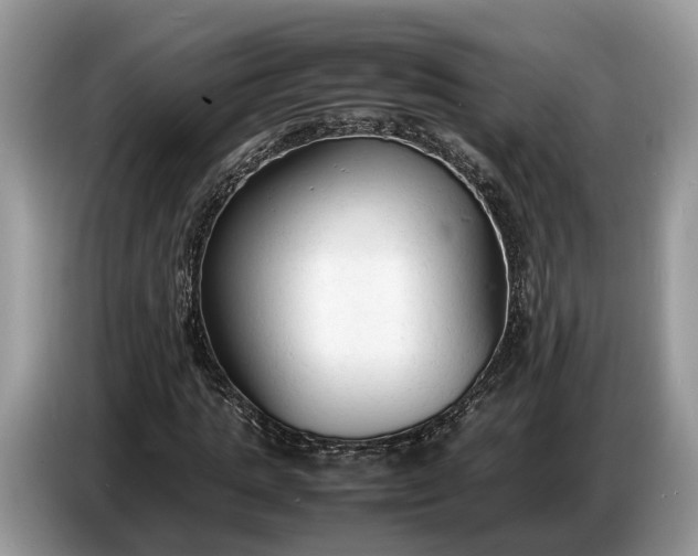 X0000086720821200704271609