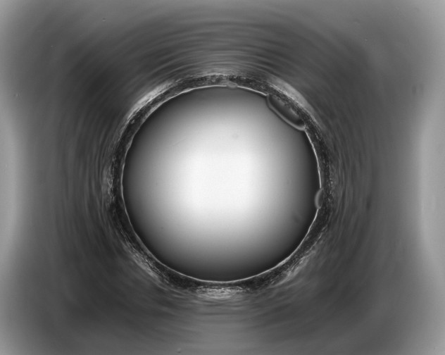 X0000086720826200704271609
