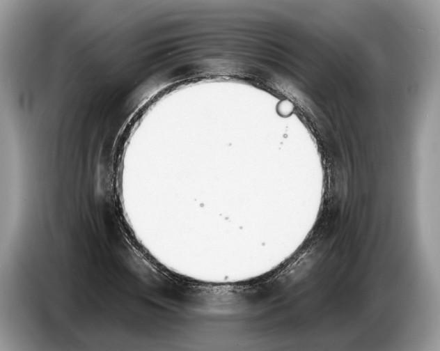 X0000086720828200704271609