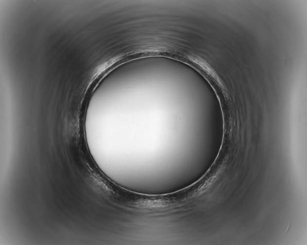 X0000086720834200704271609
