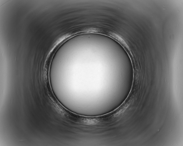 X0000086720835200704271609