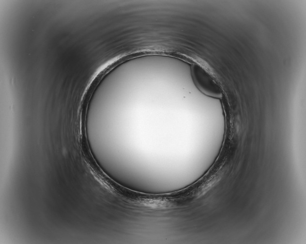 X0000086720838200704271609