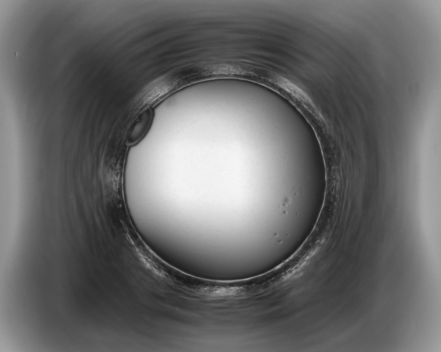 X0000086720841200704271609