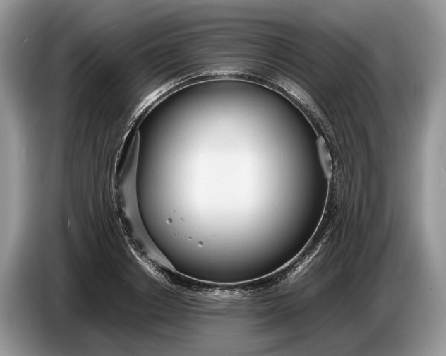 X0000086720842200704271609