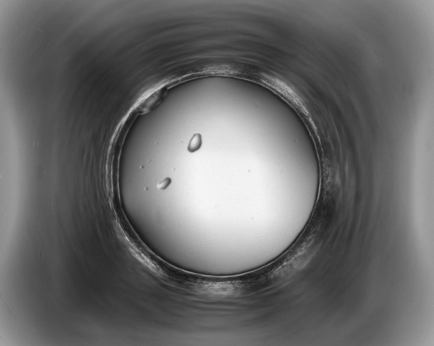 X0000086720843200704271609