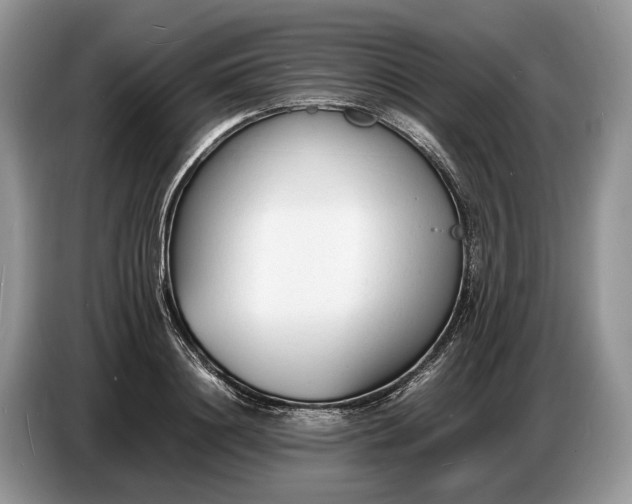 X0000086720844200704271609