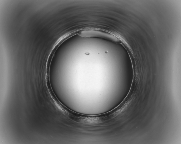 X0000086720845200704271609