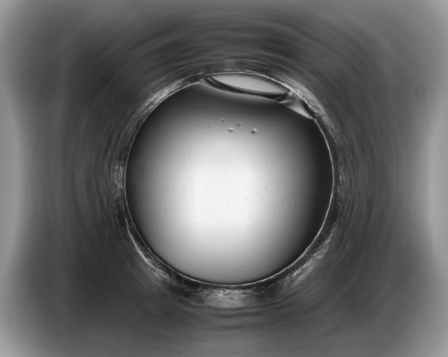 X0000086720849200704271609