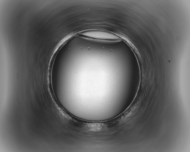 X0000086720853200704271609