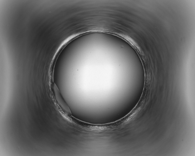 X0000086720854200704271609