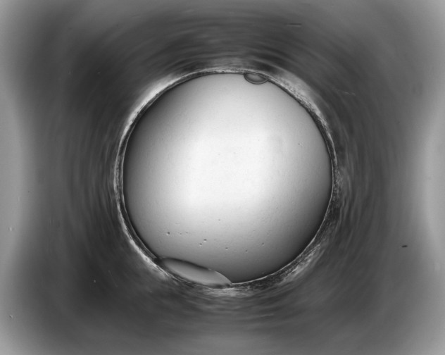 X0000086720855200704271609