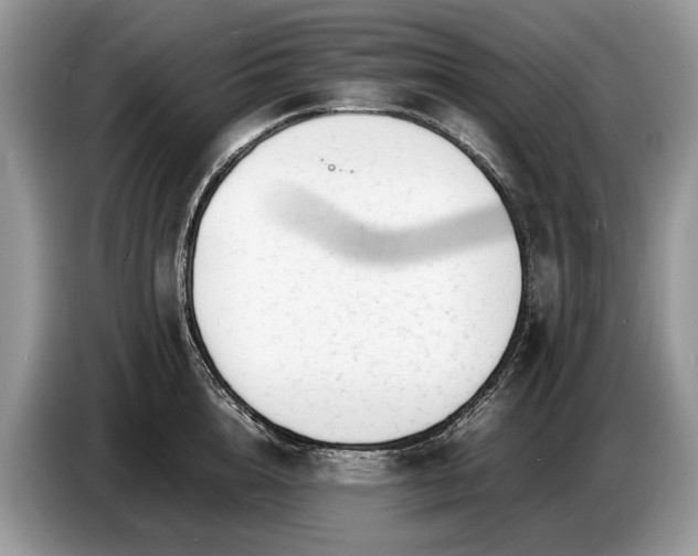 X0000086720856200704271609