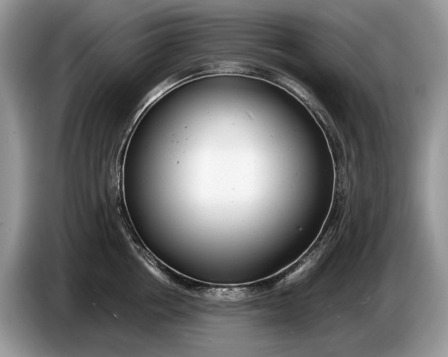 X0000086720858200704271609