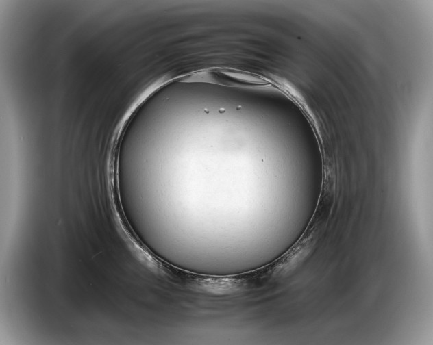 X0000086720859200704271609