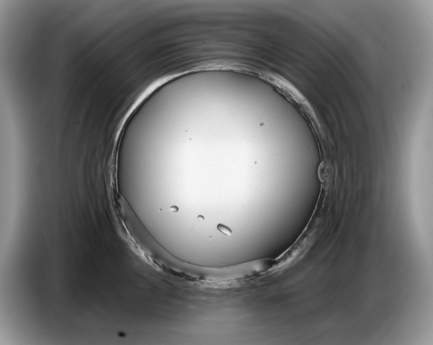 X0000086720860200704271609