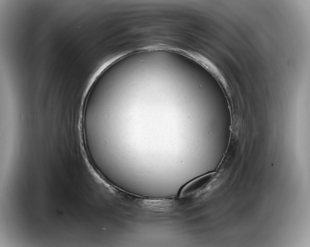 X0000086720863200704271609