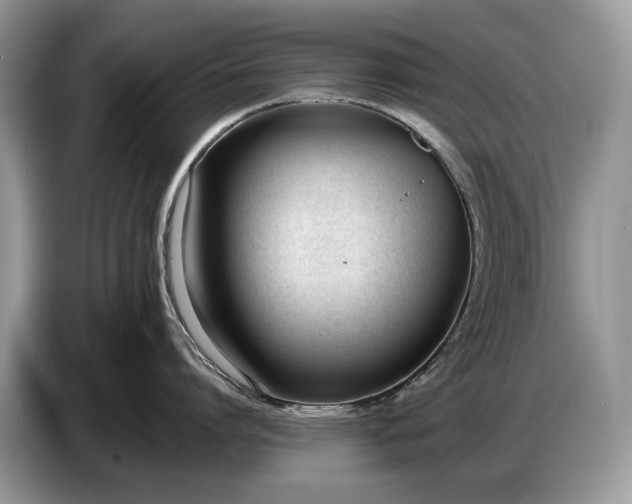 X0000086720864200704271609