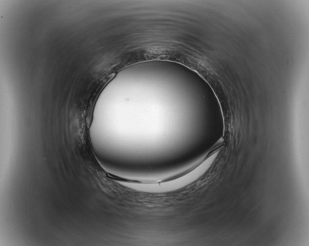 X0000086720868200704271608