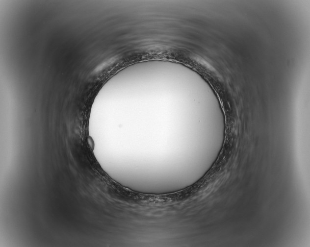 X0000086720869200704271608