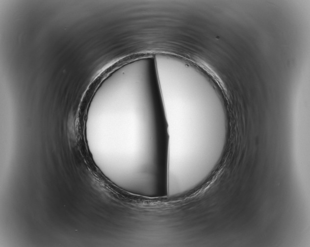 X0000086720876200704271608