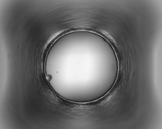 X0000086720877200704271608