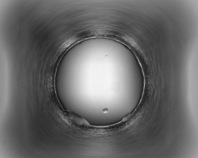 X0000086720881200704271608