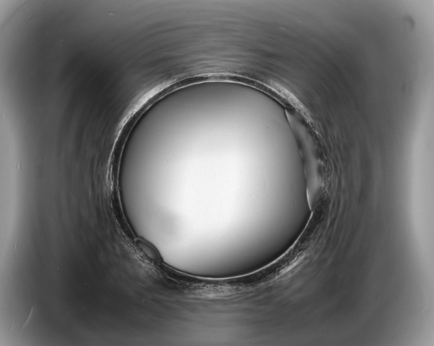 X0000086720885200704271608
