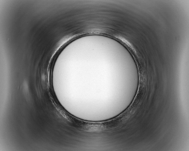 X0000086720886200704271608