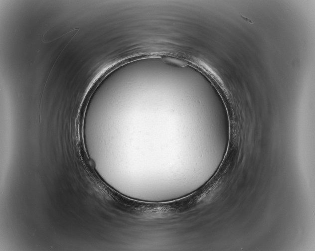 X0000086720891200704271608