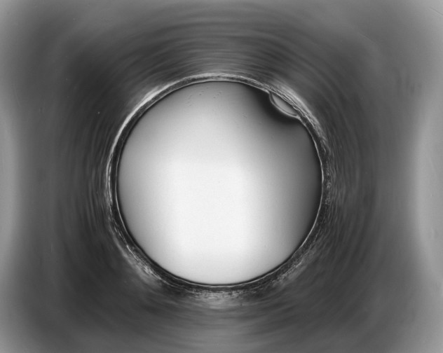 X0000086720892200704271608