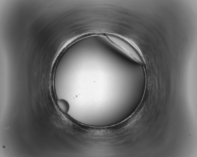 X0000086720895200704271608