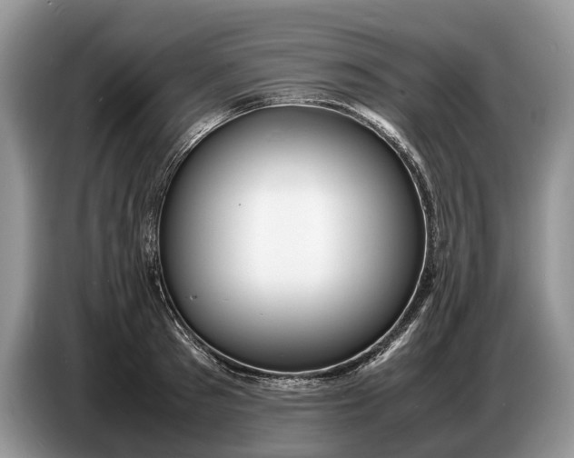 X0000086720897200704271608