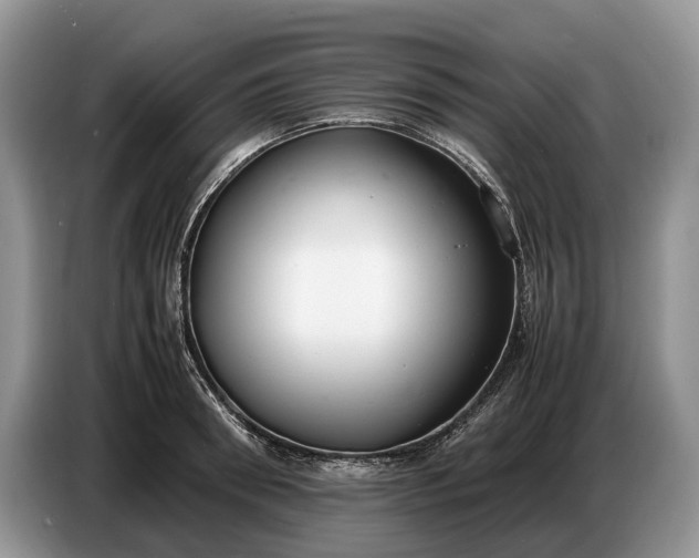 X0000086720898200704271608
