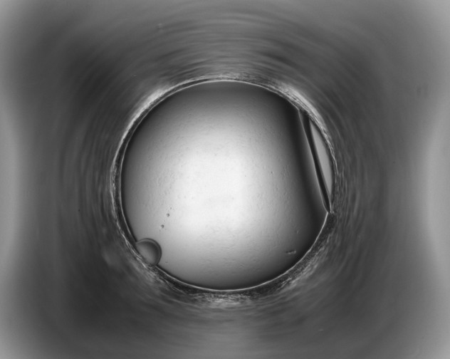 X0000086720899200704271608