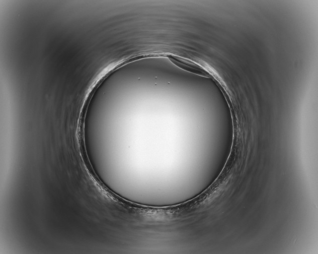 X0000086720901200704271608