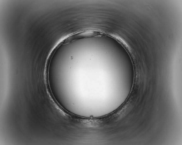 X0000086720902200704271608