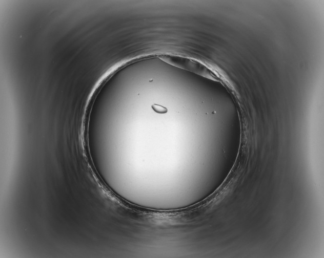 X0000086720904200704271608