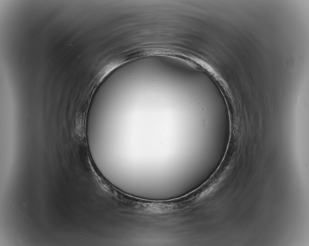 X0000086720905200704271608