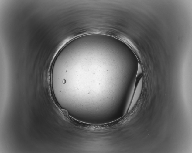 X0000086720907200704271608