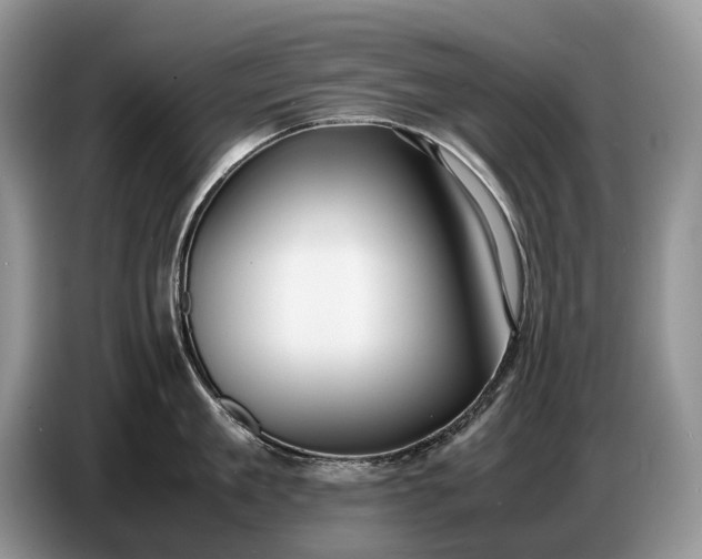 X0000086720909200704271608