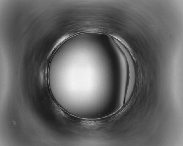 X0000086720910200704271608
