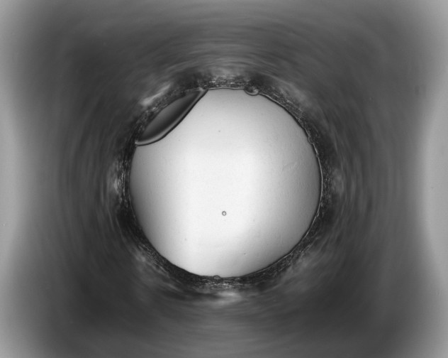 X0000086720914200704271607