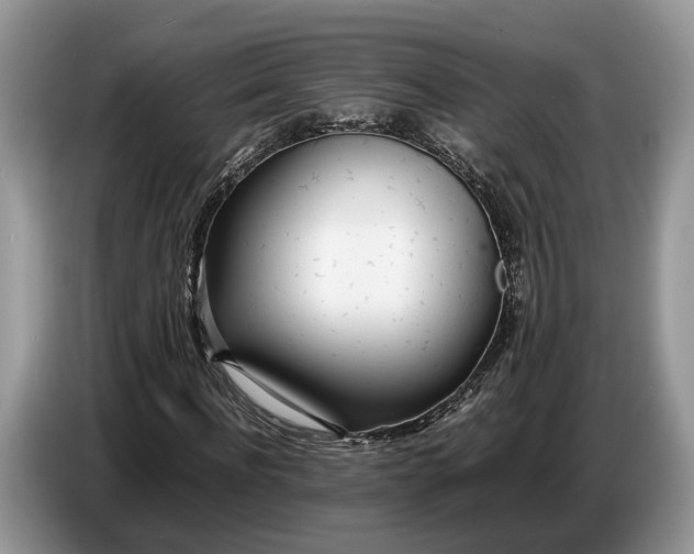 X0000086720916200704271607
