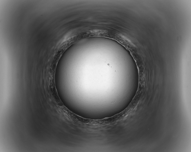 X0000086720917200704271607