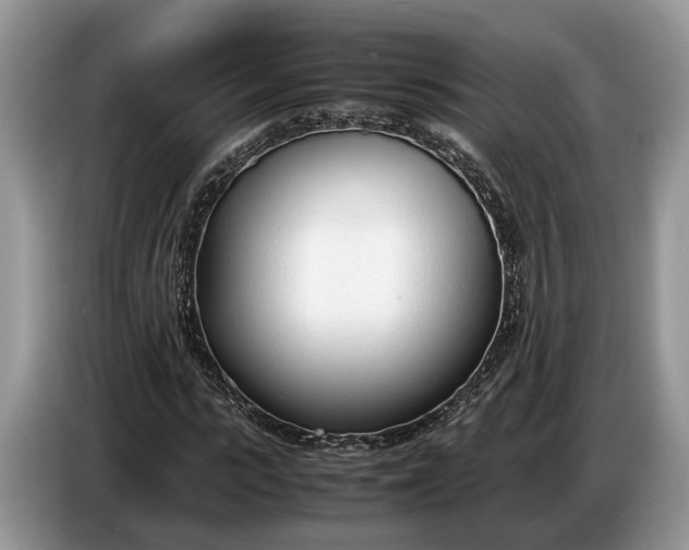 X0000086720919200704271607