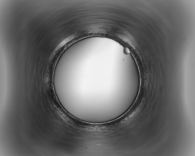 X0000086720922200704271607